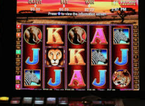 鲸鱼体育2024最新版