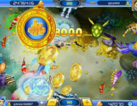 鲸鱼体育正式版