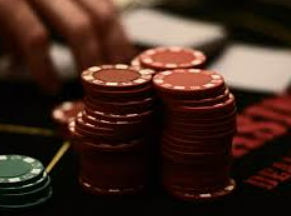 鲸鱼体育2024最新版