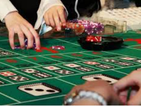 鲸鱼体育2024最新版